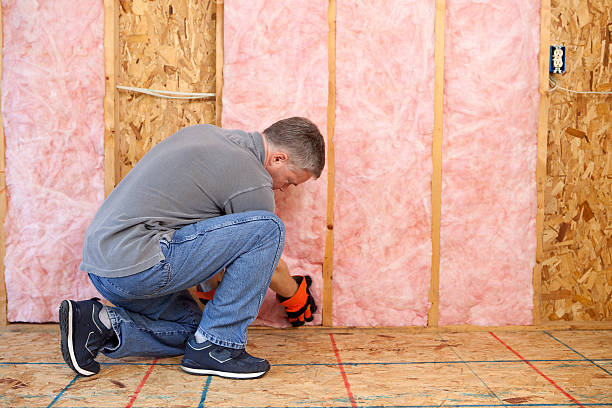 Best Commercial Insulation in Littleton Common, MA